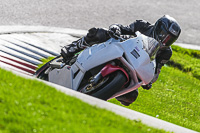 Advanced Group White Bikes